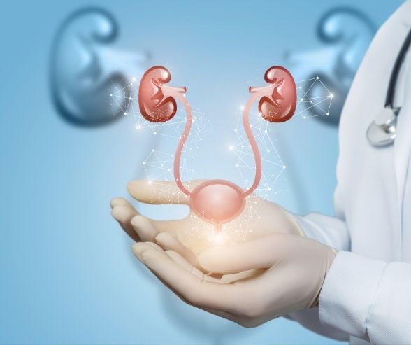 Mesane Sfinkter Disfonksiyonları