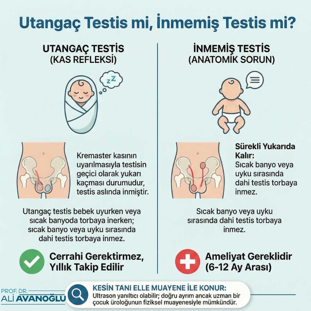 Erkek bebeklerde inmemiş testis nasıl anlaşılır