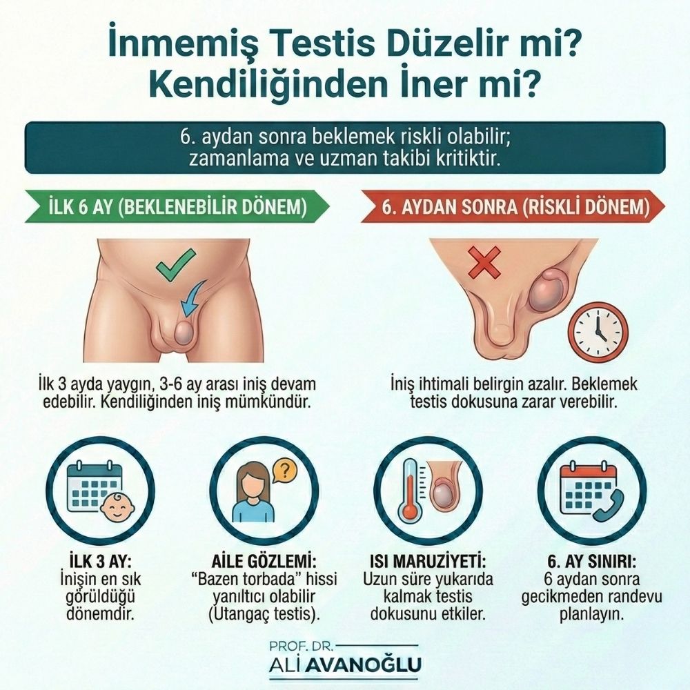 İnmemiş Testis Kendiliğinden Düzelirmi