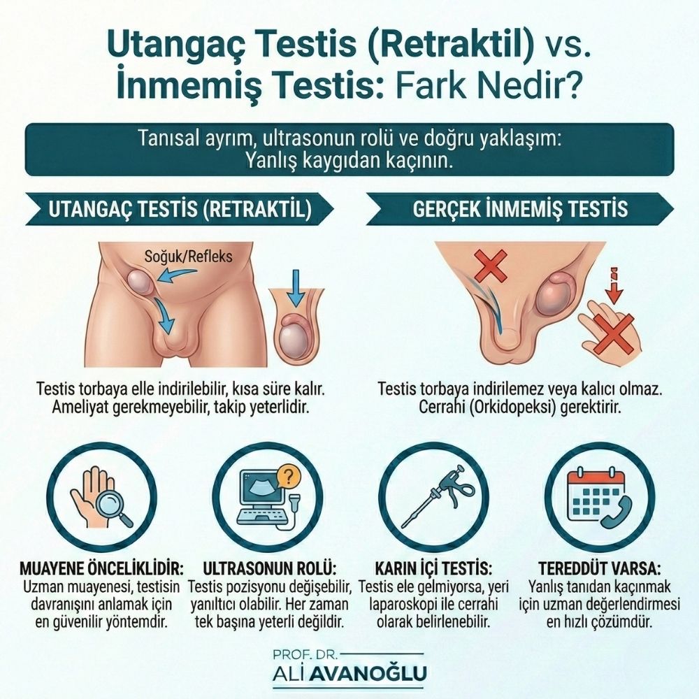 Utangaç testis kaç yaşında düzelir