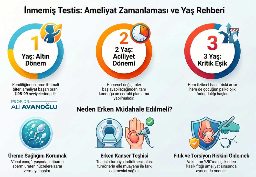 inmemiş testis belirtileri